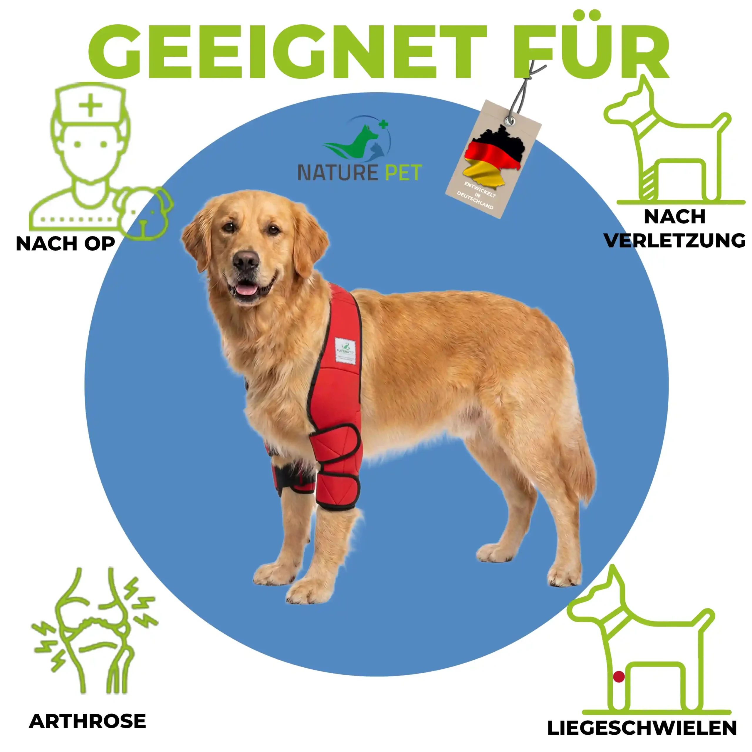Ellenbogen_Bandage Hund