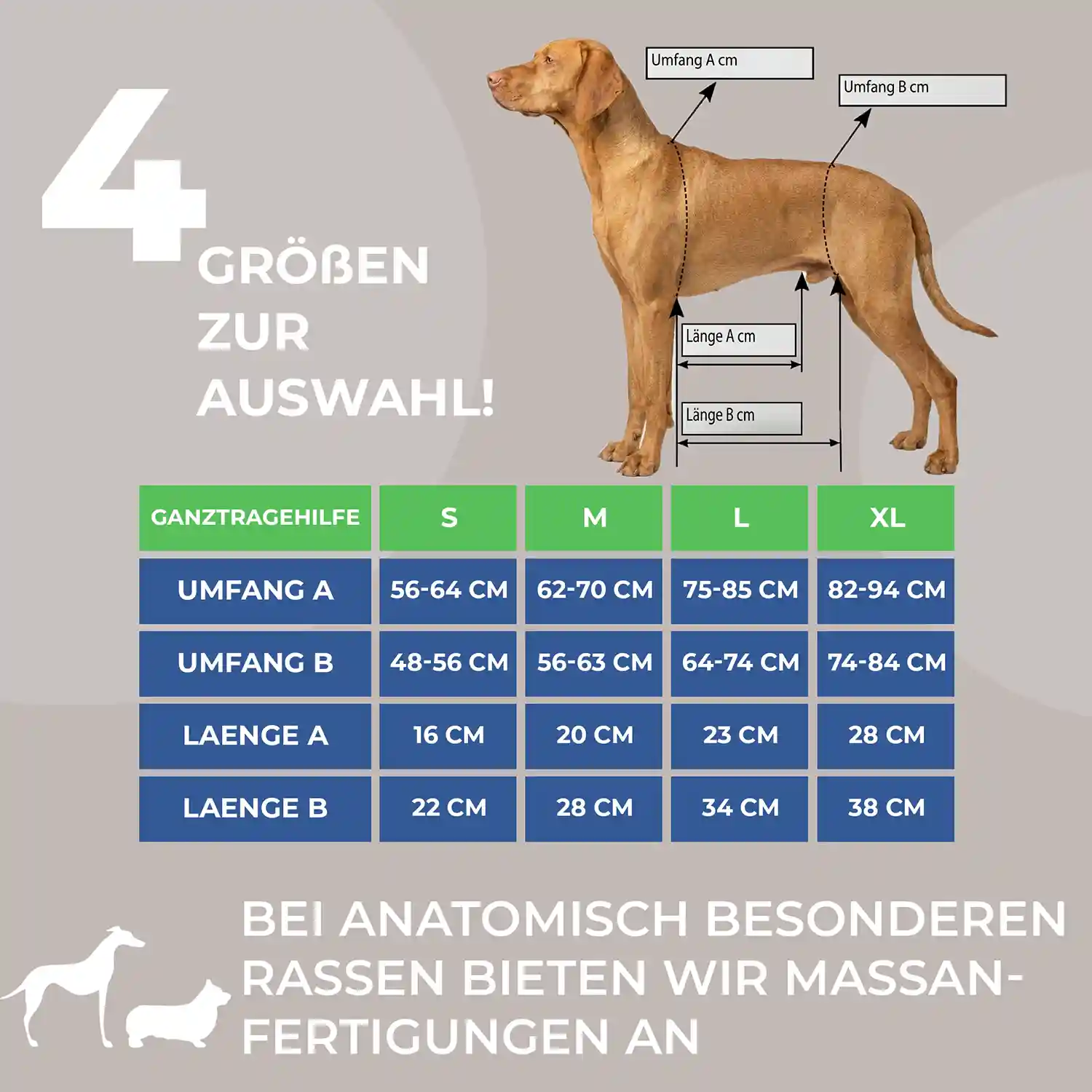 Ganzkörpertragehilfe für Hunde 7 Ganzkörpertragehilfe Hund