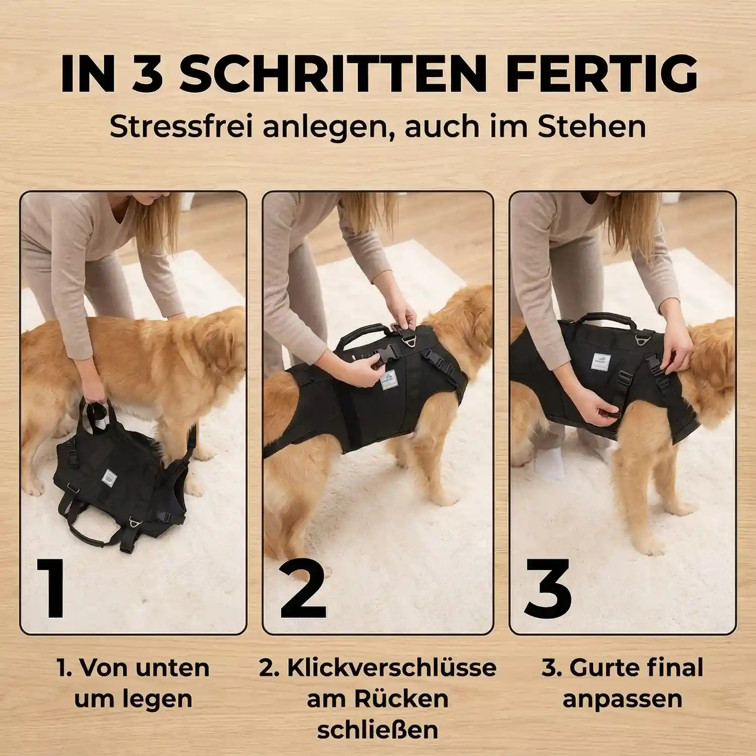 Ganzkörpertragehilfe für Hunde 21 Ganzkörpertragehilfe Hund Anlegen