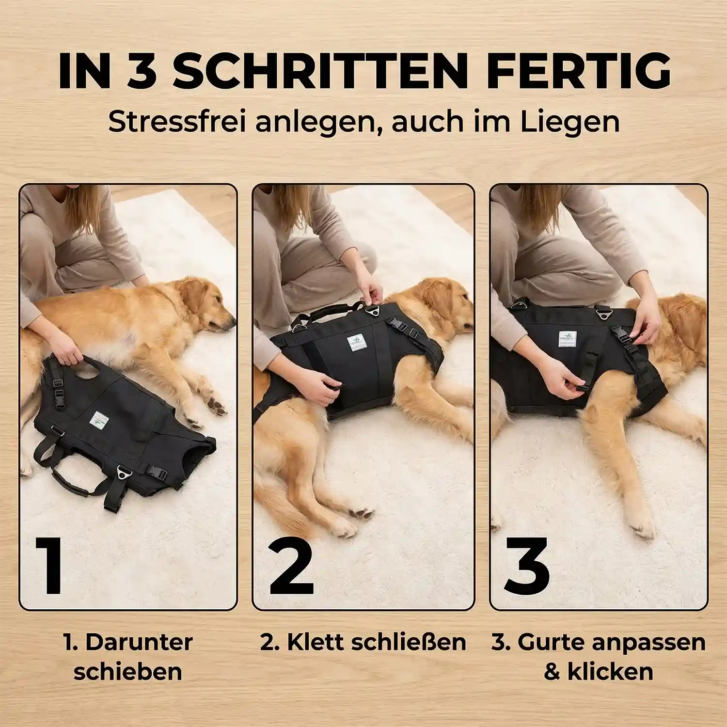 Ganzkörpertragehilfe für Hunde 23 Ganzkörpertragehilfe Hund Anlegen