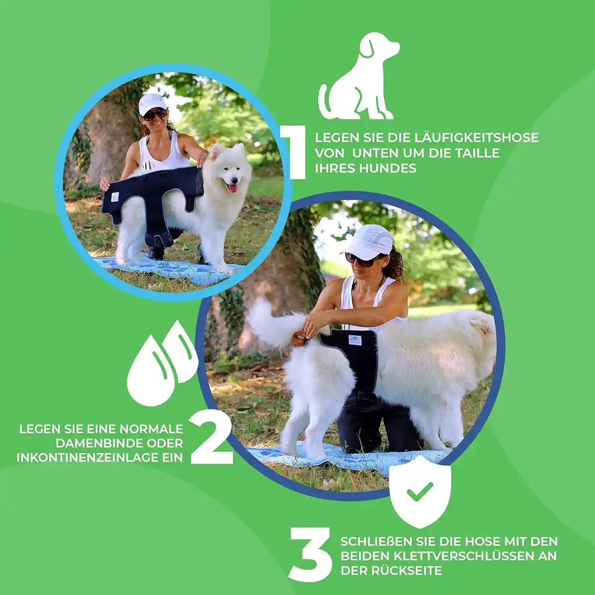 Läufigkeitshose für Hündinnen aus Neopren 19 Läufigkeitshose von Nature Pet anlegen