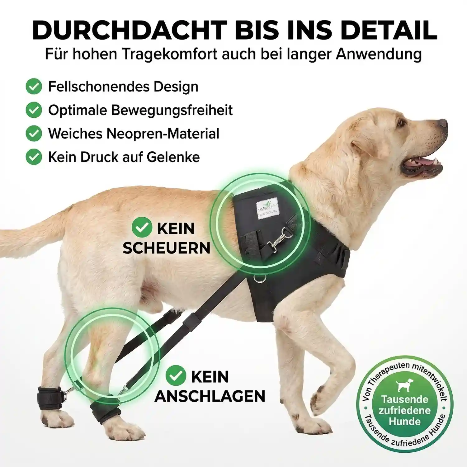 Expander Trainingsgeschirr für Hunde 11 Nature Pet Hundeexpander Trainingsgeschirr