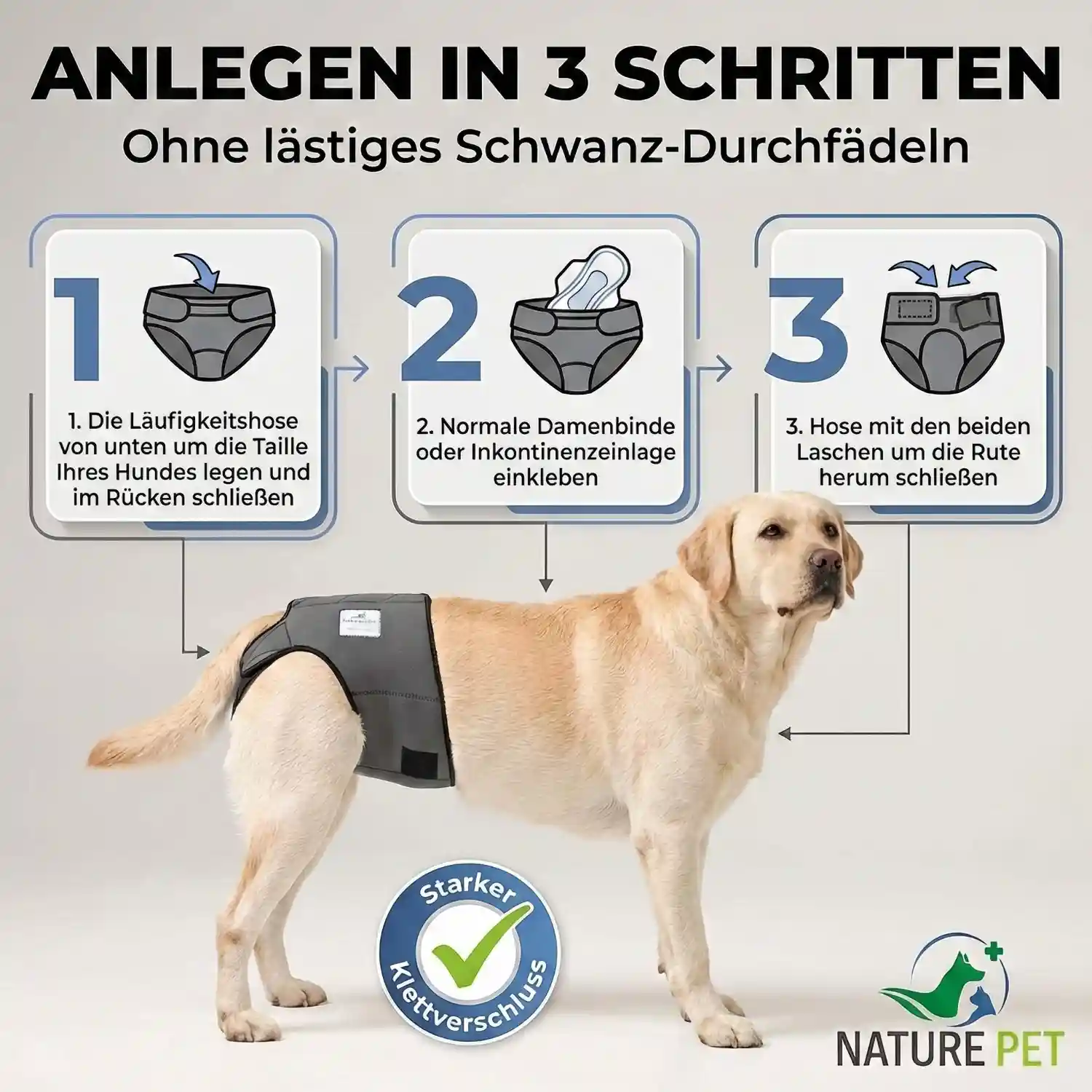 Läufigkeitshose für Hündinnen aus Neopren 11 Läufigkeitshose_USP4