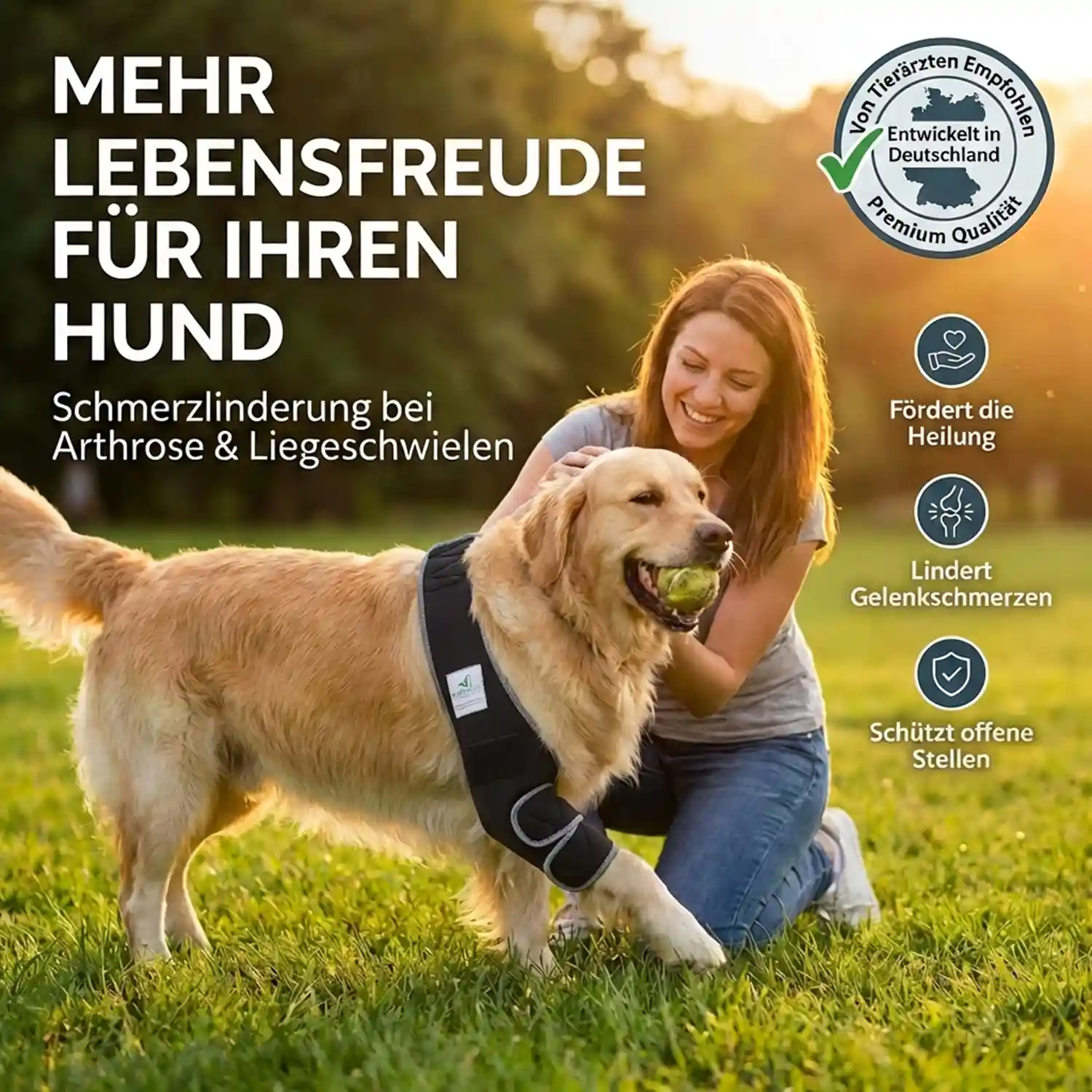 Liegeschwielen- / Ellenbogen Bandage für Hunde 7 Liegeschwielen Bandage / Ellenbogenbandage für Hunde