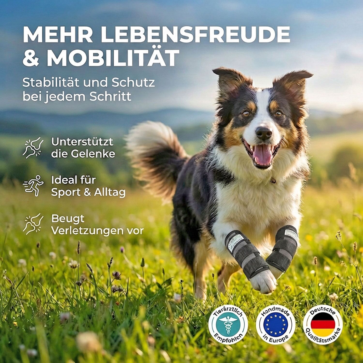 Sport Bandage für Hunde 3 Sportbandage für Hunde