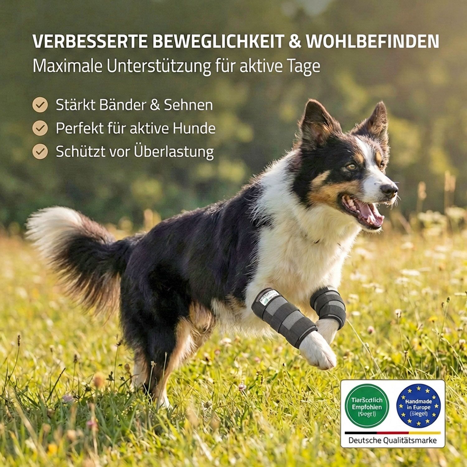 Sport Bandage für Hunde 9 Sportbandage für Hunde