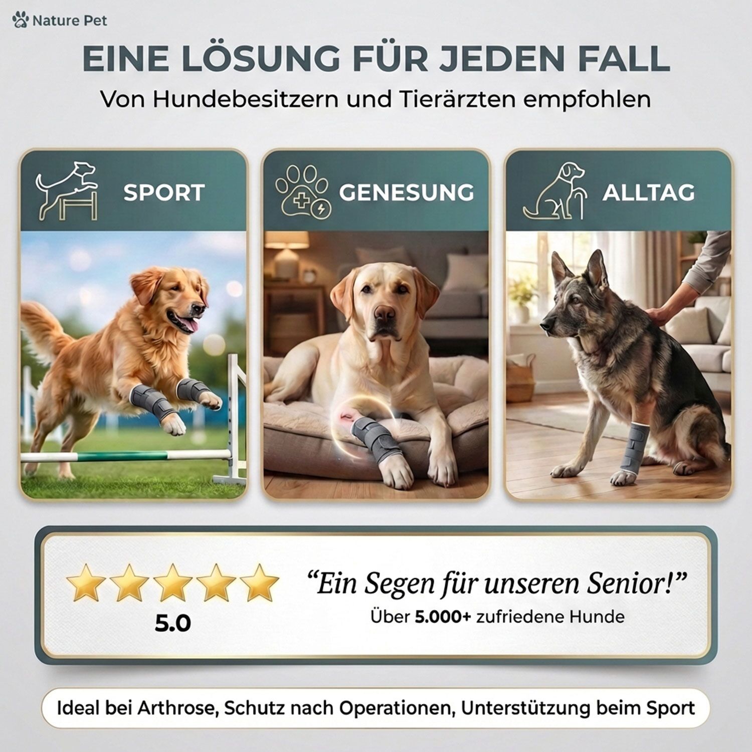 Sport Bandage für Hunde 17 Sportbandage für Hunde