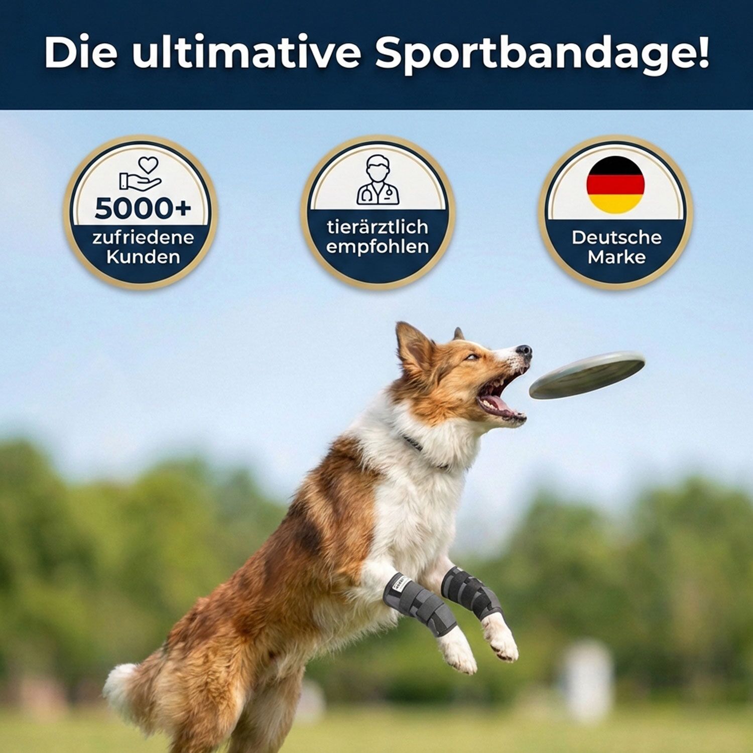 Sport Bandage für Hunde 13 Sportbandage für Hunde