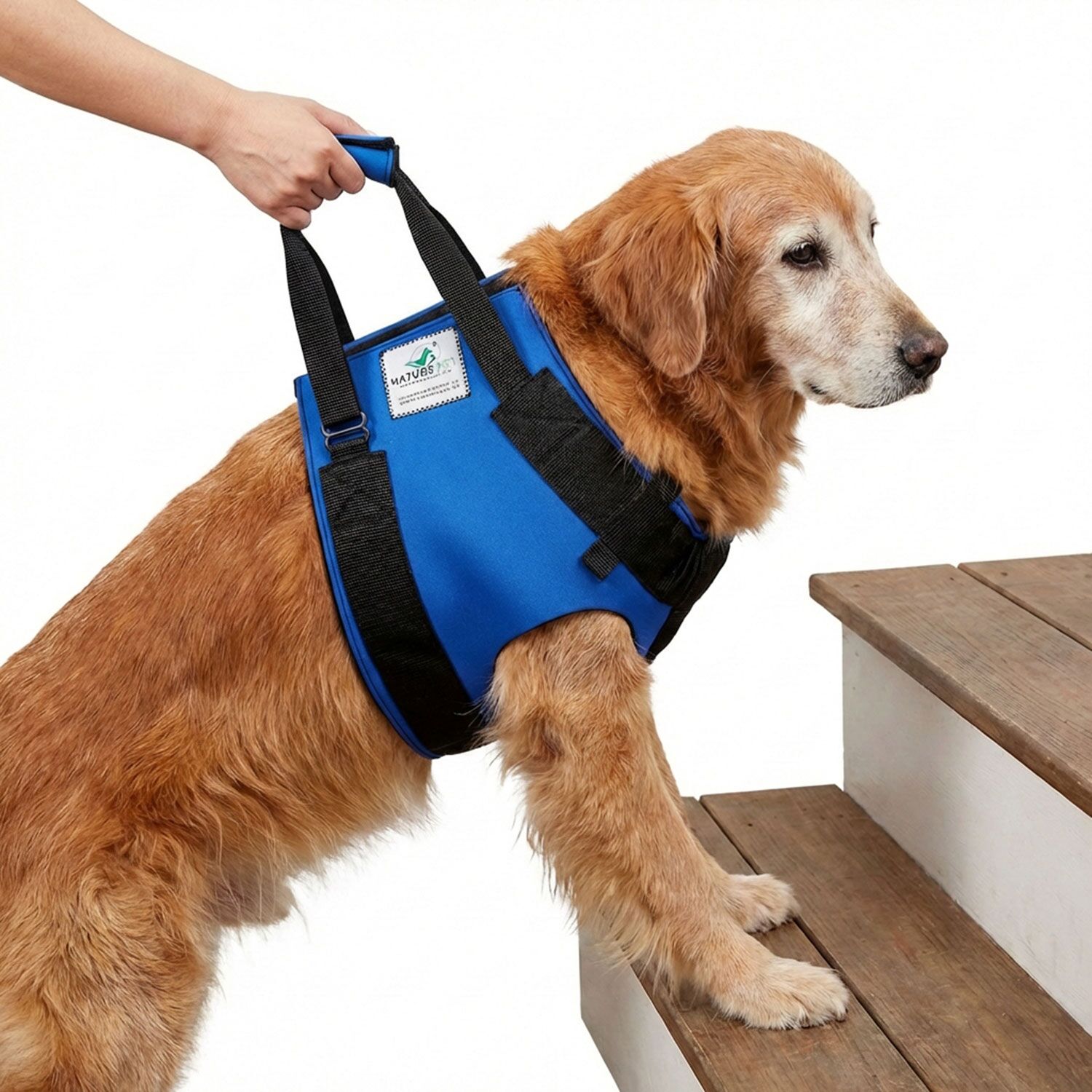 Hunde Tragehilfe vorne 19 Nature Pet Tragehilfe vorne