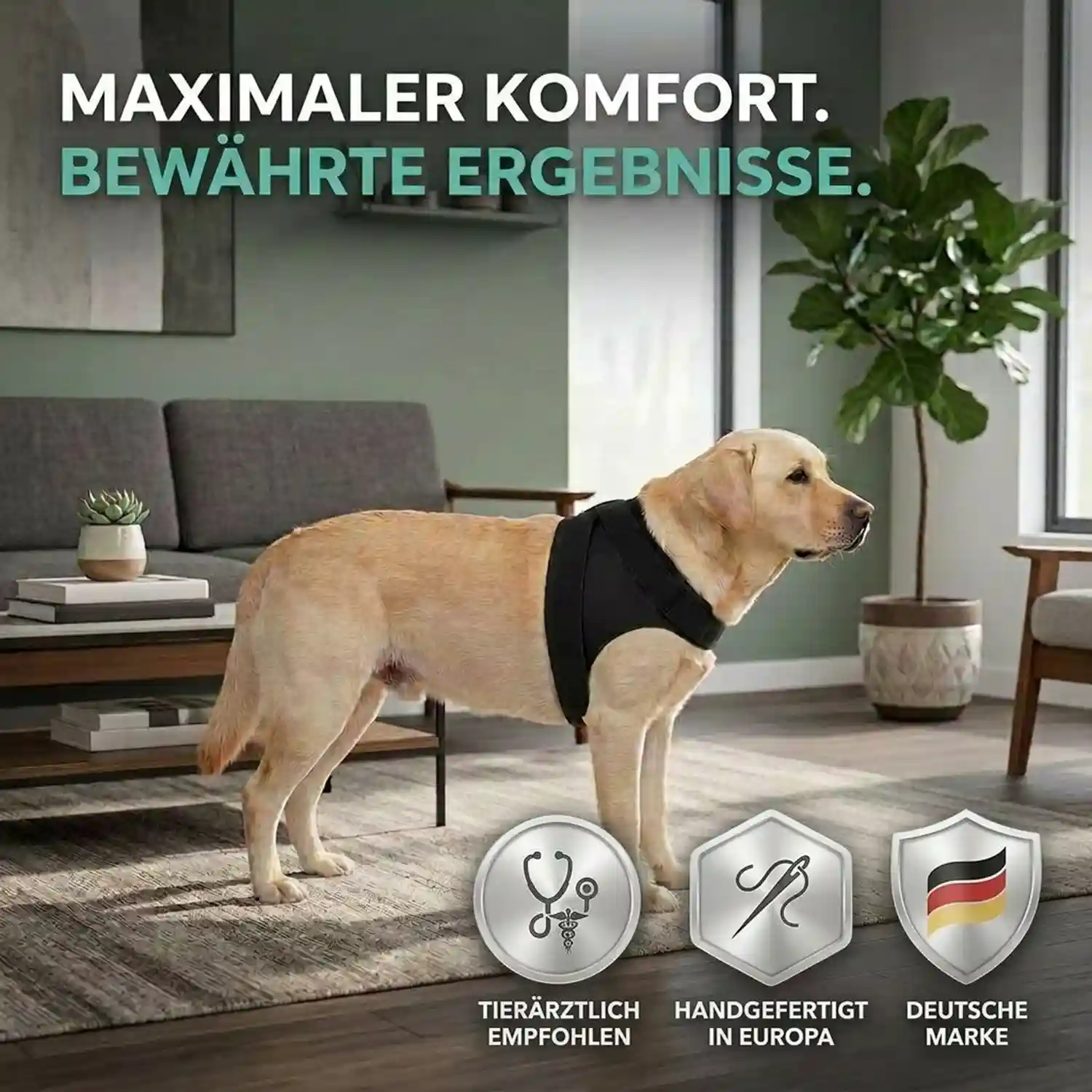 Schulter-Bandage 9 Schulterkompressions Bandage für Hunde von Nature Pet