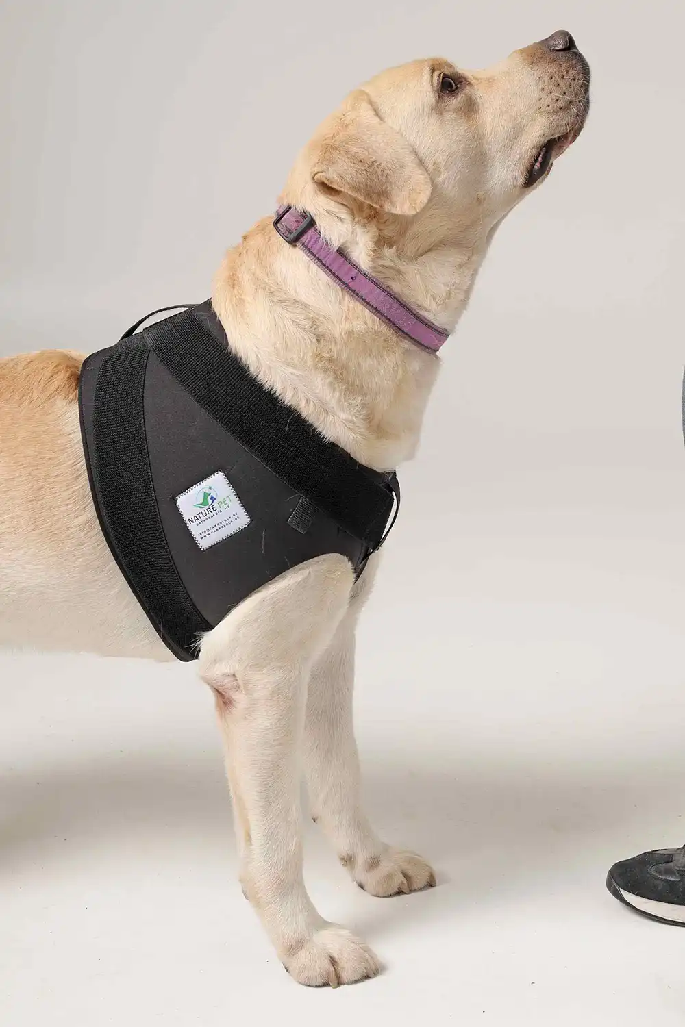 Schulter-Bandage 11 Schulterbadage für Hunde von NATURE PET