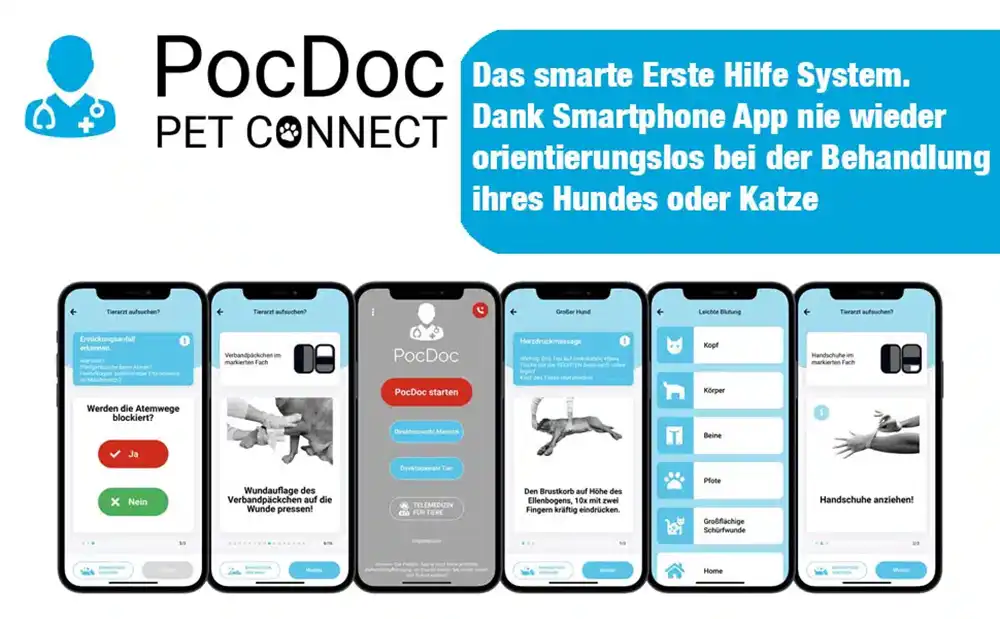 Erste Hilfe Set für Hunde 3 Erste Hilfe Set für Hunde – Bild 2