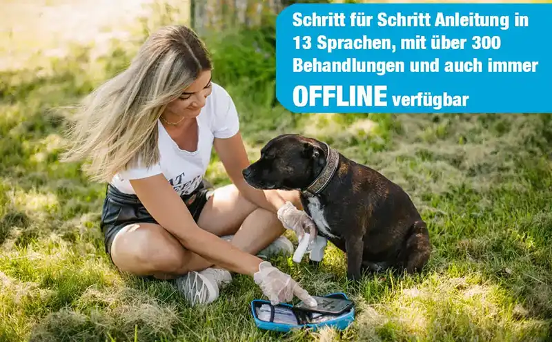 Erste Hilfe Set für Hunde 5 Erste Hilfe Set für Hunde – Bild 3