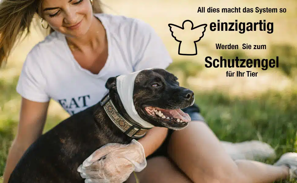 Erste Hilfe Set für Hunde 11 Erste Hilfe Set für Hunde – Bild 6
