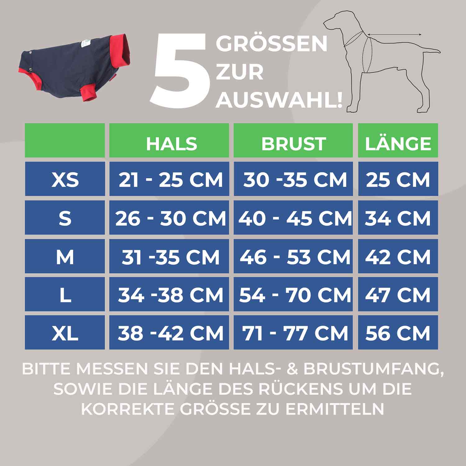 Hunde OP Body 3 Hunde OP Body