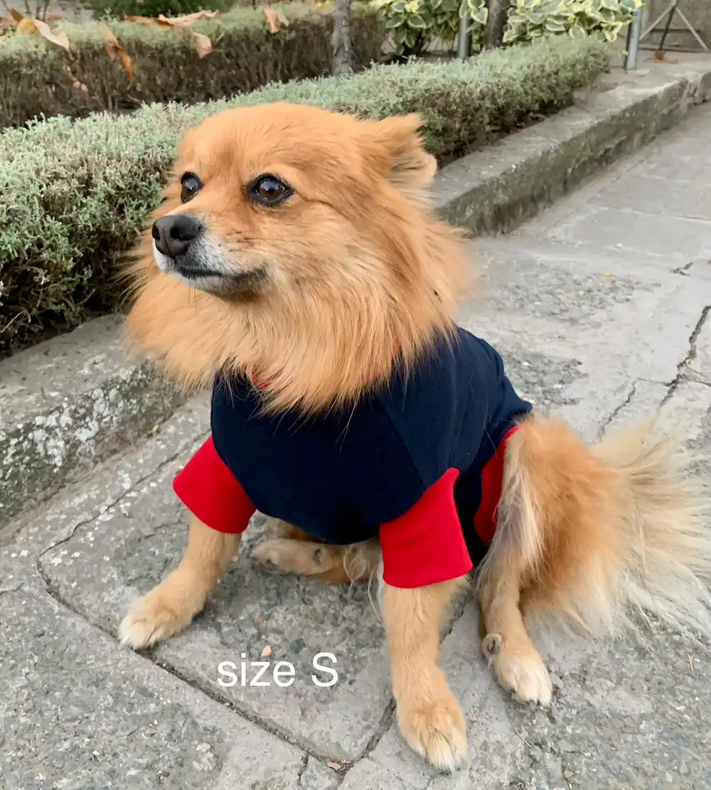 Hunde OP Body 5 Hunde Operations Schutzanzug und Beruhigungsshirt