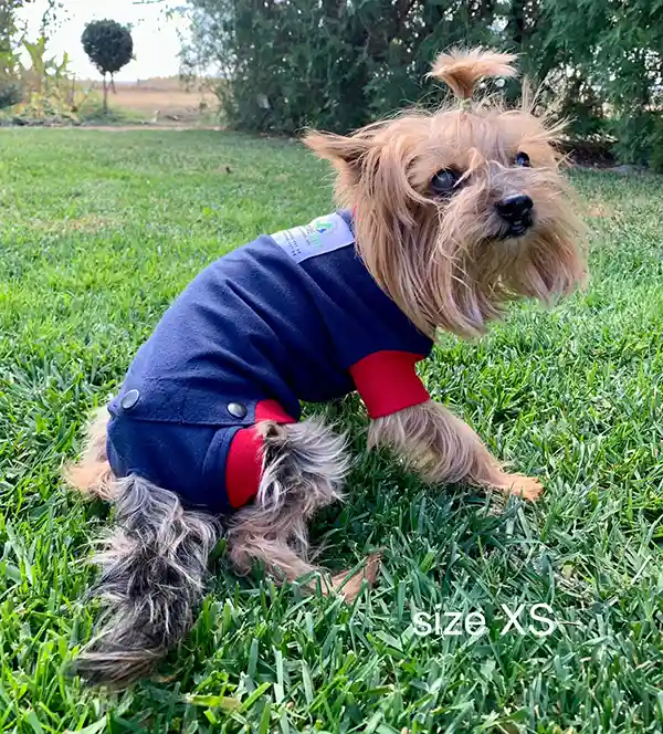 Hunde OP Body 13 Hunde Operations Schutzanzug und Beruhigungsshirt