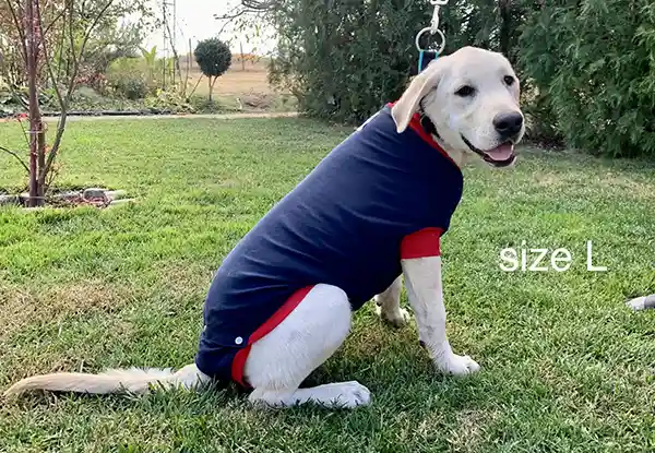 Hunde OP Body 7 Hunde Operations Schutzanzug und Beruhigungsshirt