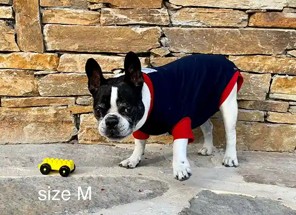 Hunde OP Body 15 Hunde Operations Schutzanzug und Beruhigungsshirt