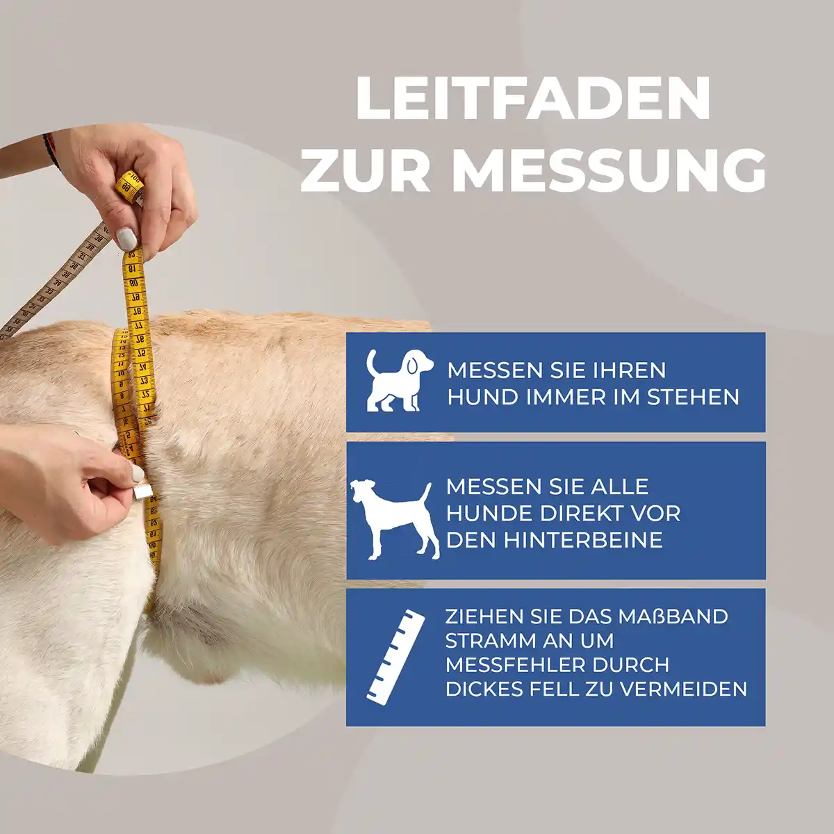 Hunde Tragehilfe hinten 7 Messanleitung Tragehilfe hinten