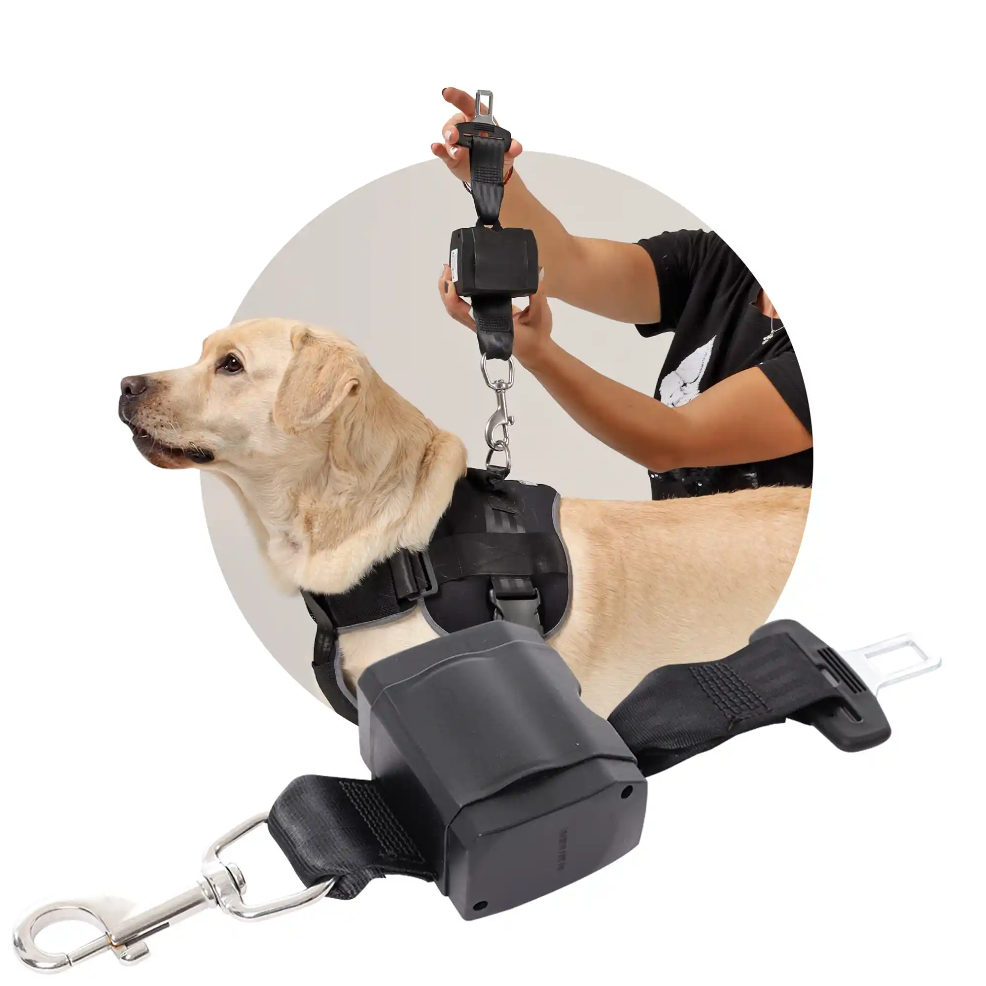 Rollup Sicherheitsgurt für Hunde 1 Rollup Sicherheitsgurt