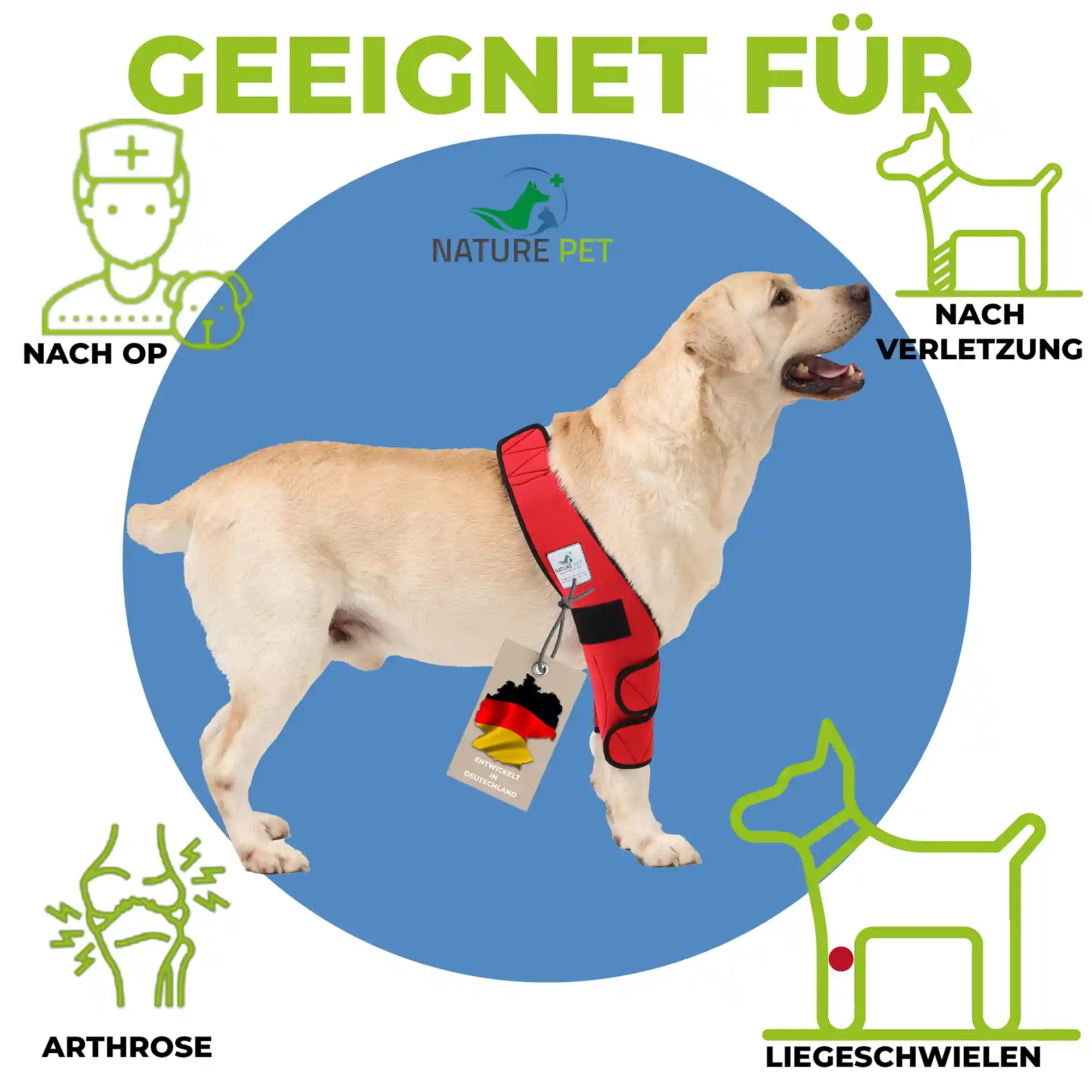Liegeschwielenbandage für Hunde