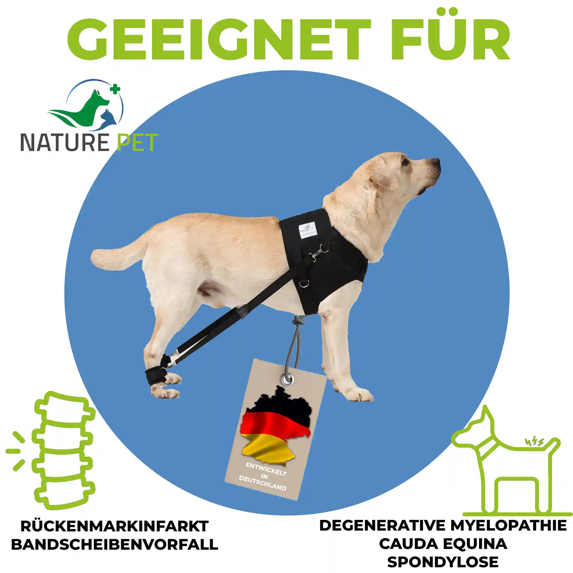 Expander Trainingsgeschirr für Hunde