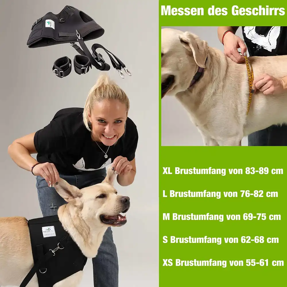 Expander Trainingsgeschirr für Hunde 3 FlexiPander Trainingsgeschirr fuer Hunde