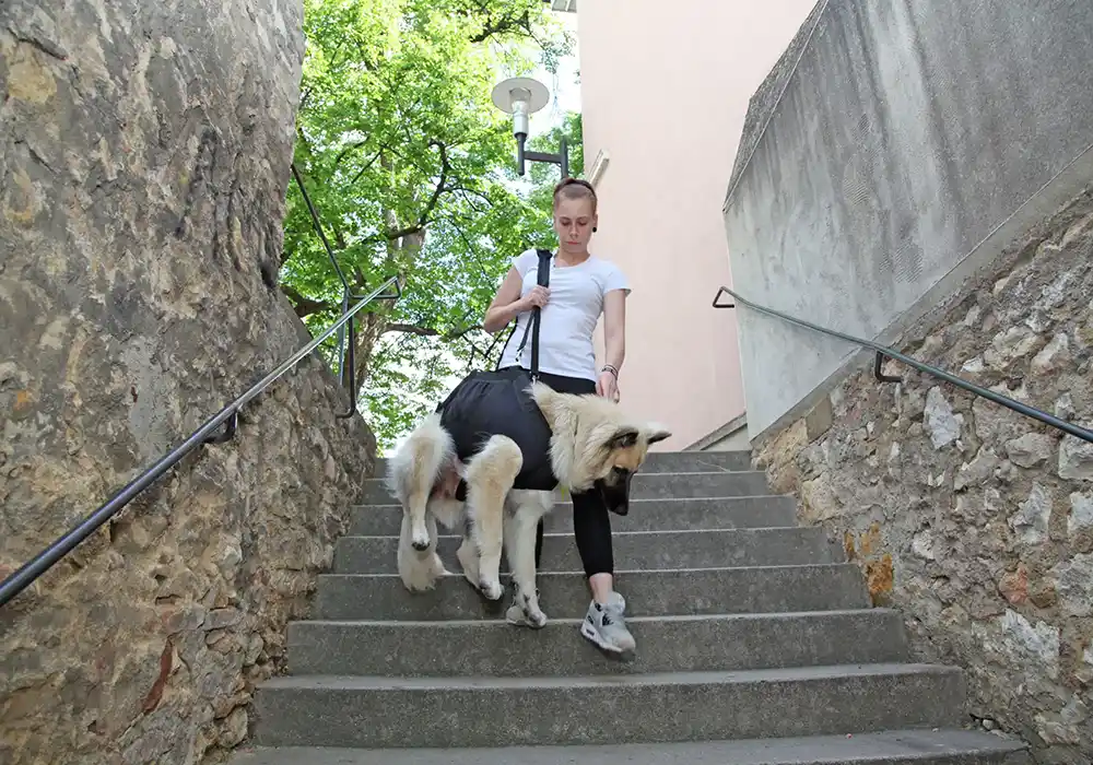 Mädchen mit Hund der die Ganzkörpertragehilfe trägt