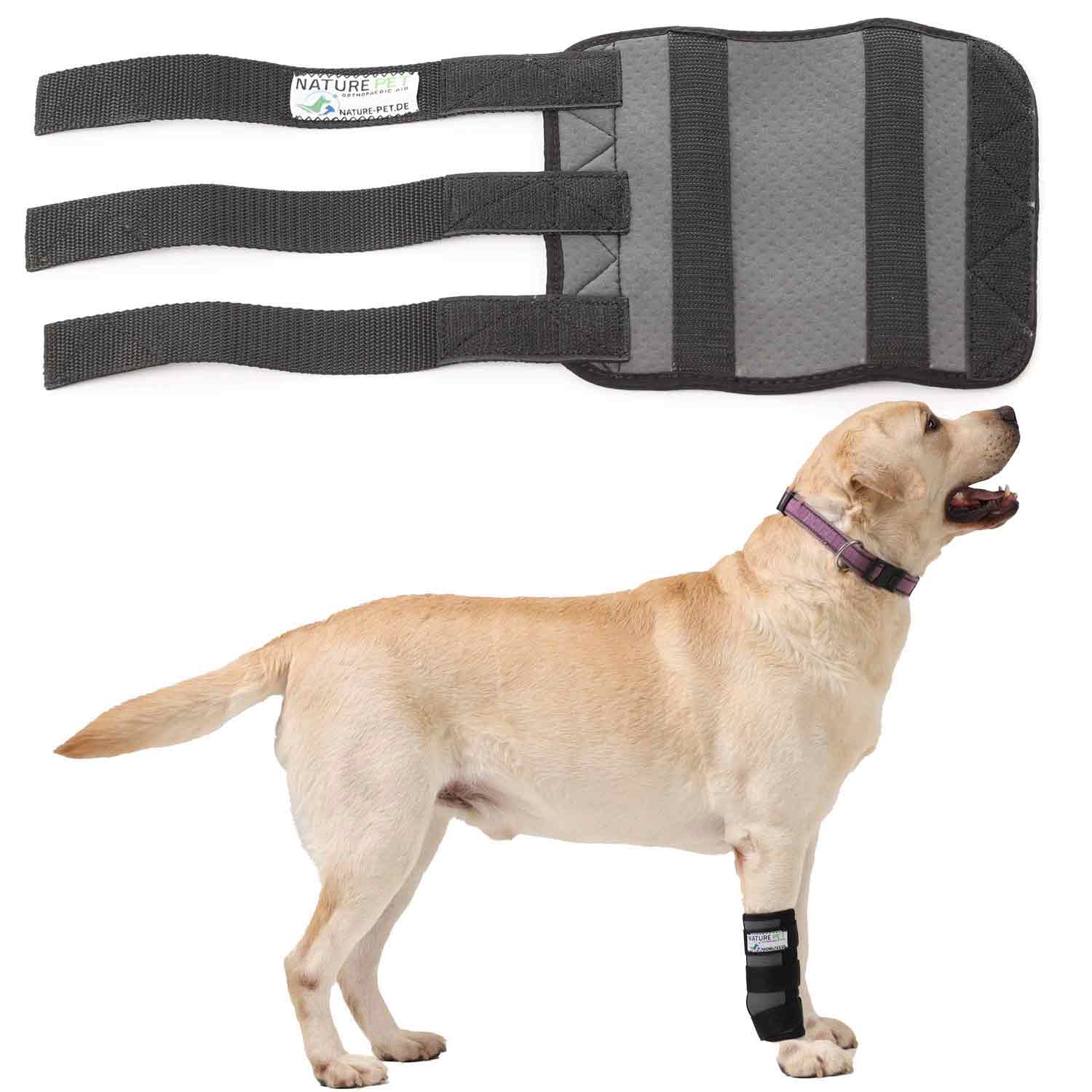 Sport Bandage für Hunde 5 Nature Pet Sportbandage für Hunde