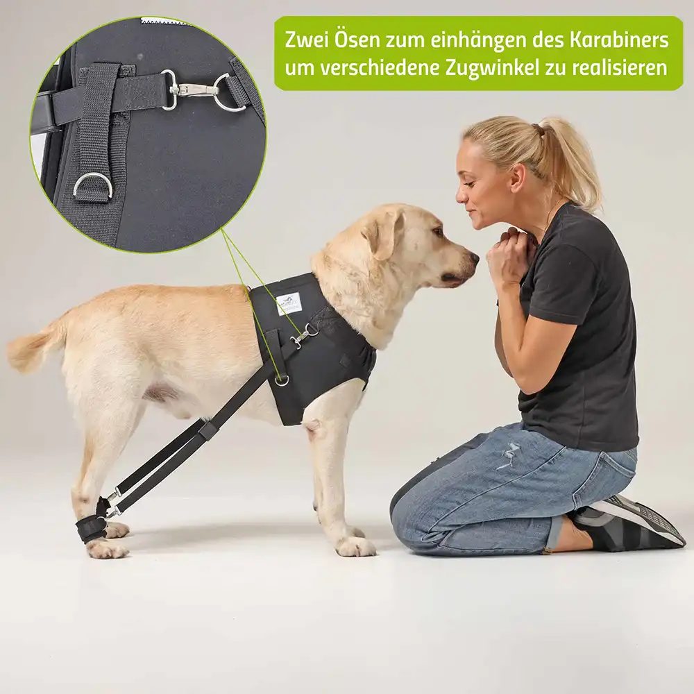 Expander Trainingsgeschirr für Hunde 7 FlexiPander Trainingsgeschirr fuer Hunde