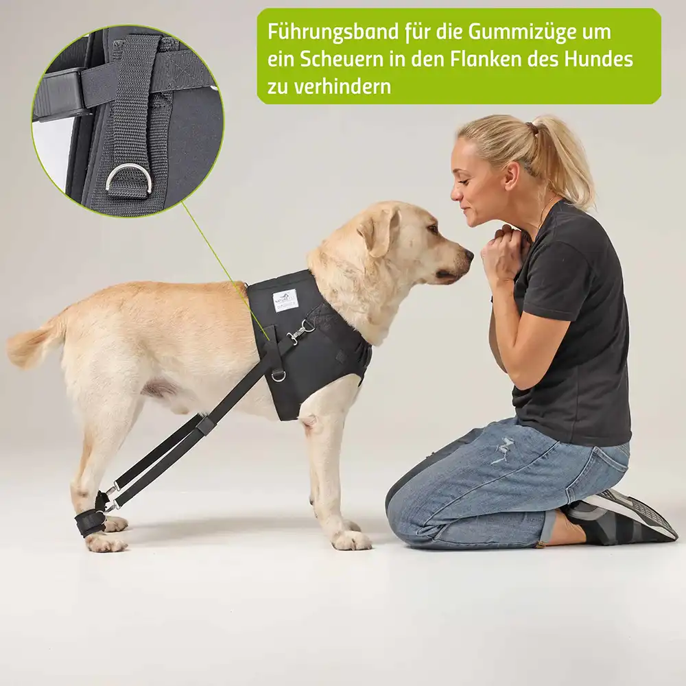 Expander Trainingsgeschirr für Hunde 9 FlexiPander Trainingsgeschirr fuer Hunde