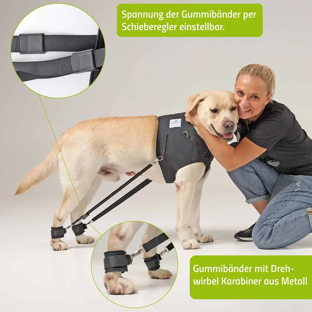 Expander Trainingsgeschirr für Hunde 11 FlexiPander Trainingsgeschirr fuer Hunde