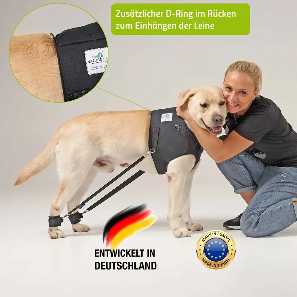 Expander Trainingsgeschirr für Hunde 13 FlexiPander Trainingsgeschirr fuer Hunde