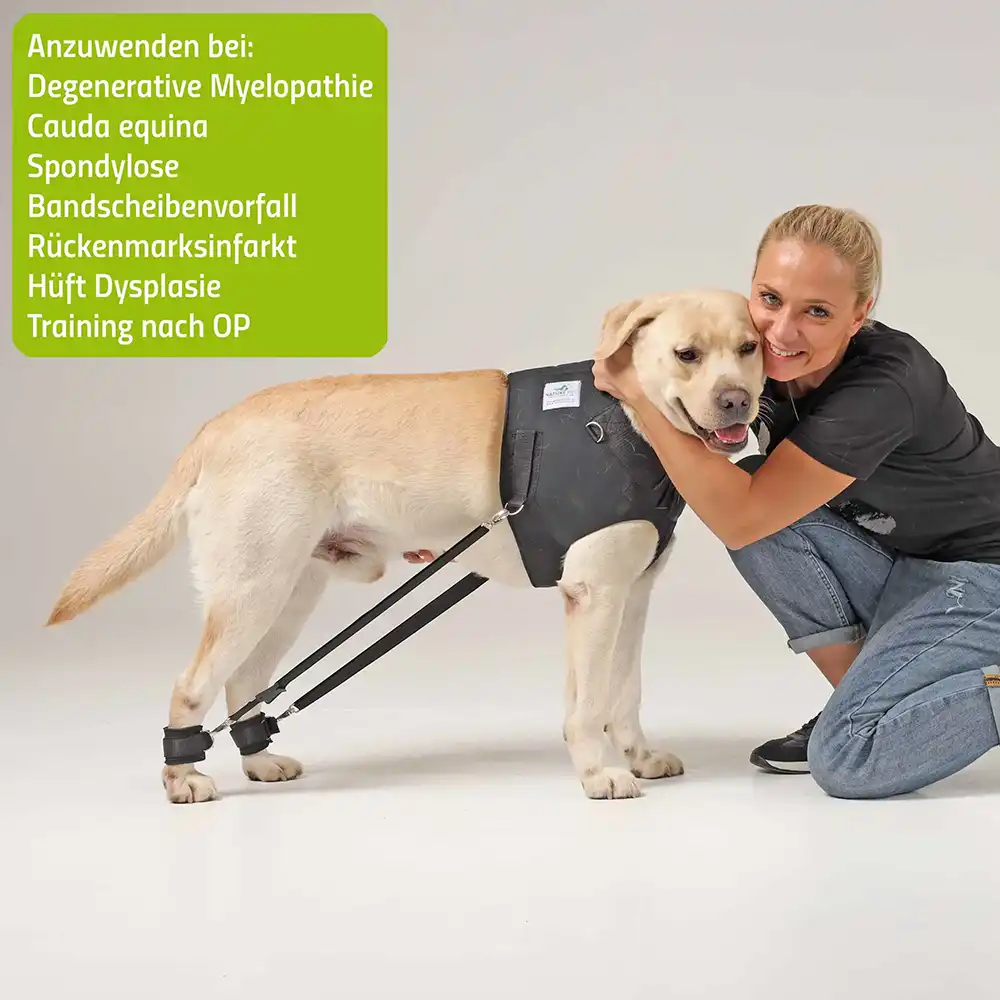 Expander Trainingsgeschirr für Hunde 15 FlexiPander Trainingsgeschirr fuer Hunde