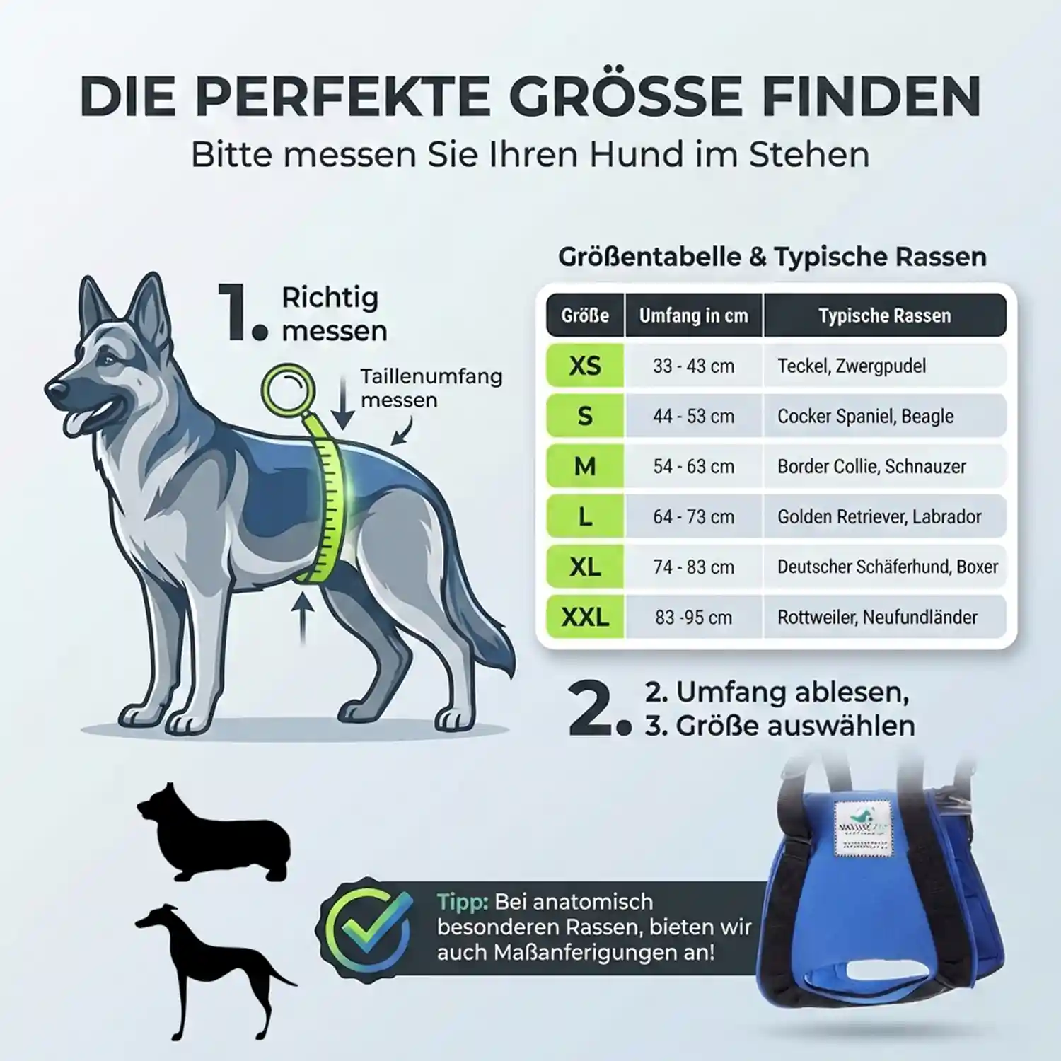 Hunde Tragehilfe hinten 7 Nature Pet Tragehilfe hinten für Hunde
