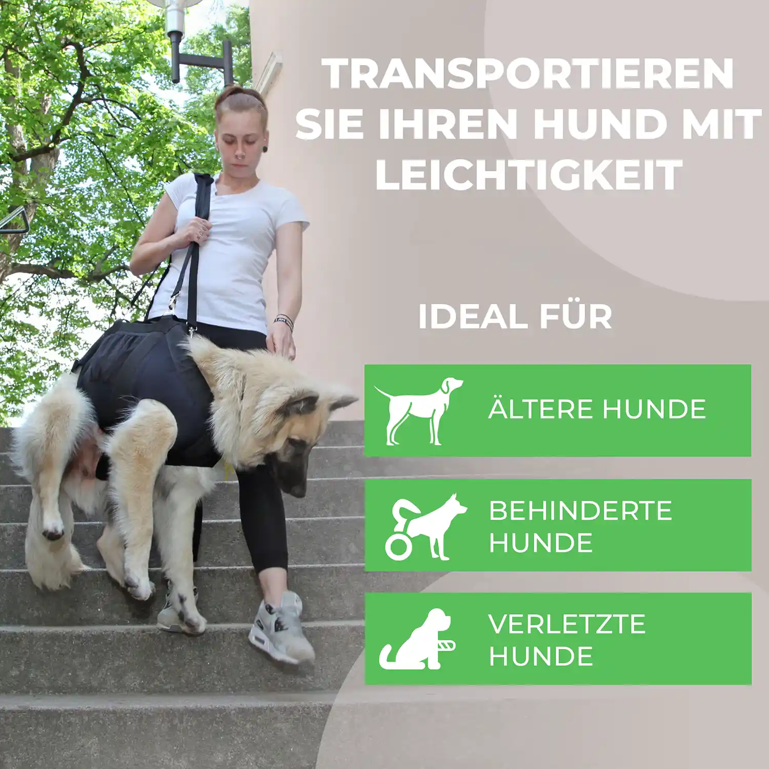 Ganzkörpertragehilfe für Hunde 3 Anwendungen der Ganzkörpertragehilfe für Hunde