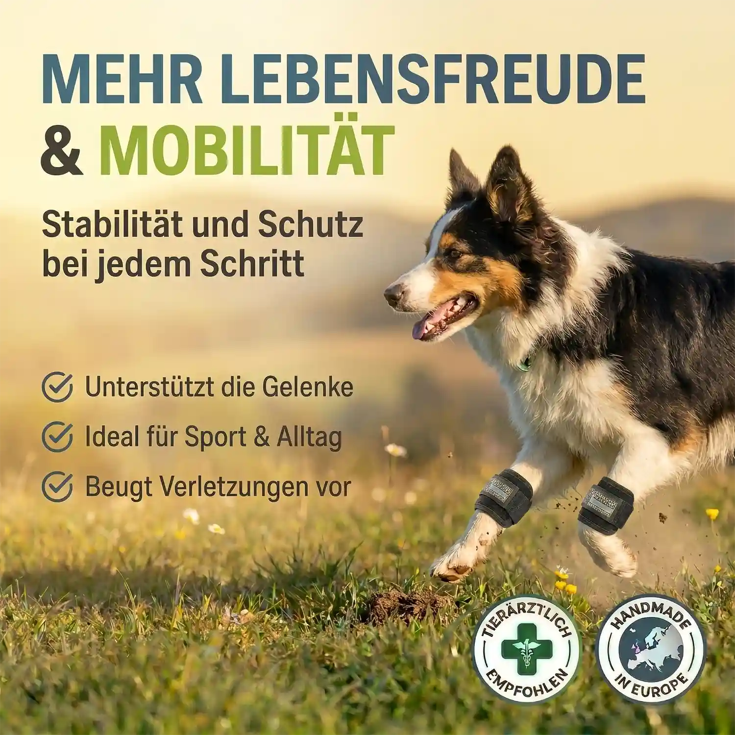 Therapiemanschette für Hunde 11 Gewichtsmanschette Hund