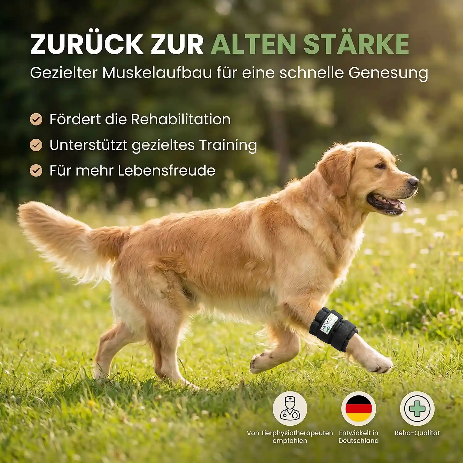 Therapiemanschette für Hunde 5 Gewichtsmanschette Hund