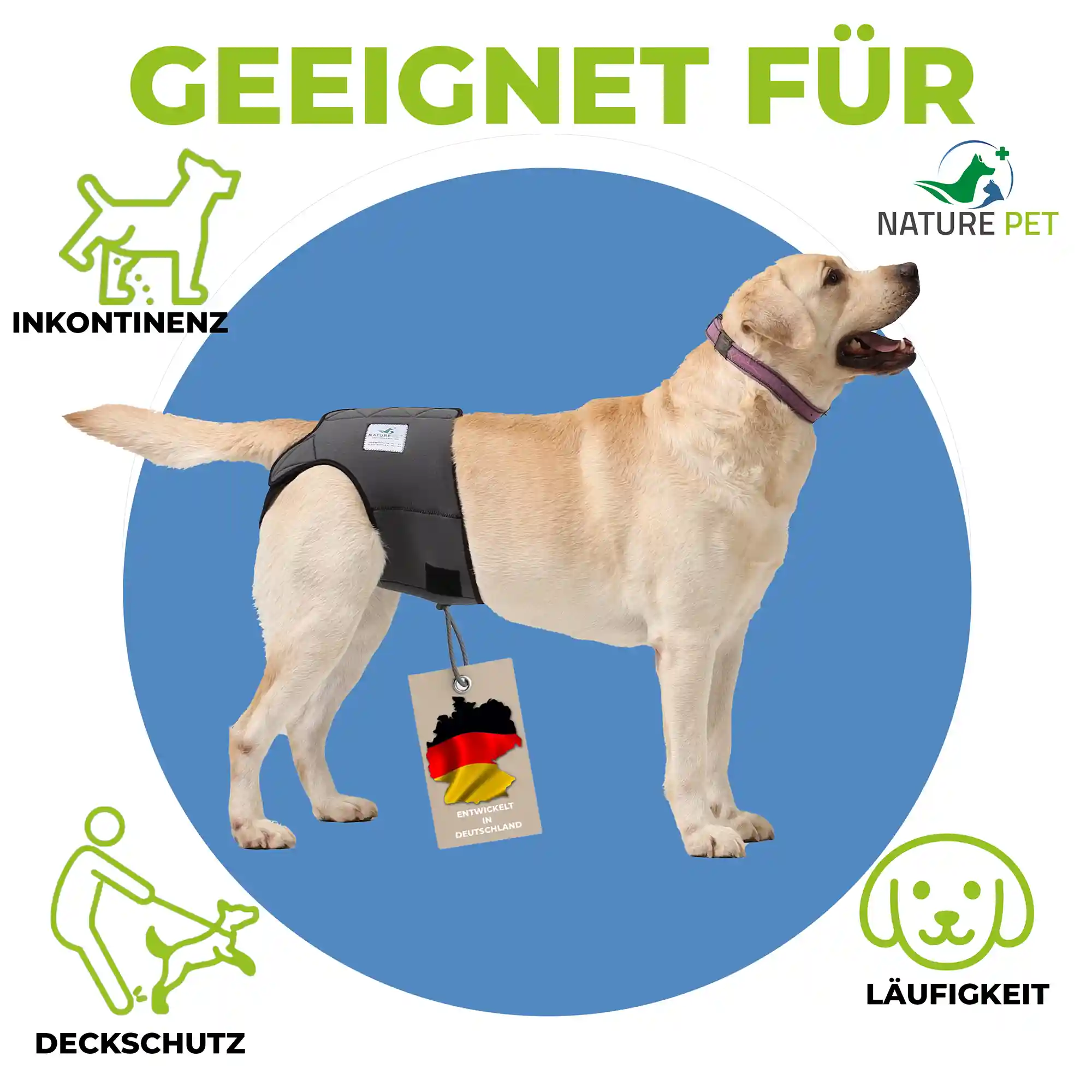 Läufigkeitshose für Hündinnen aus Neopren 1 Läufikeitshose für Hündinnen