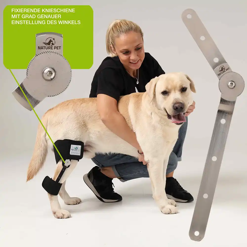 Kniebandage für Hunde 3 Fixierende Knieschiene für den Hinterlauf von Hunden von Pfaff Nature Pet
