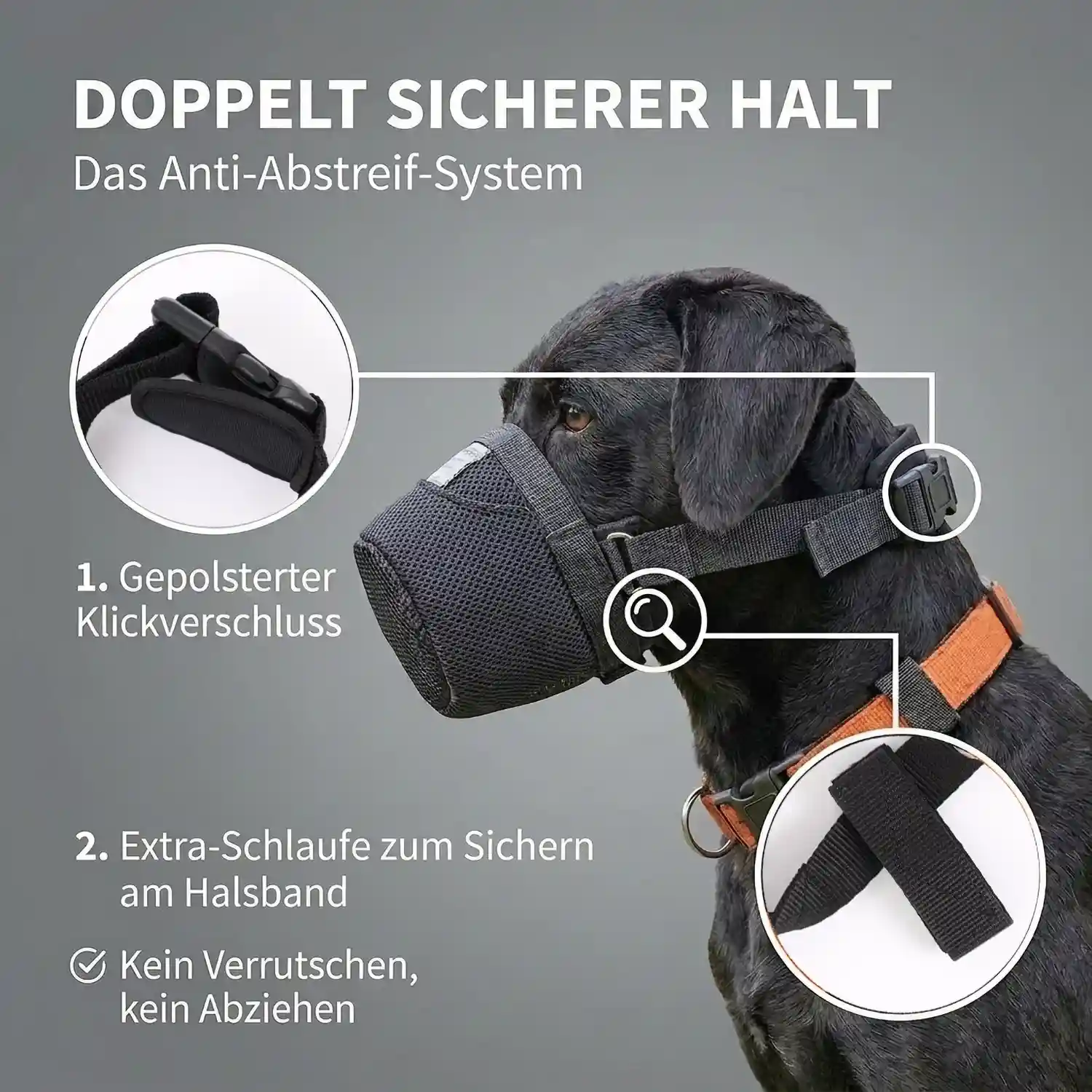 Giftköderschutz 5 Giftköderschutz für Hunde