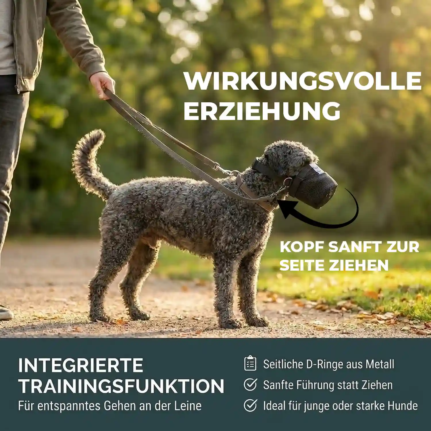 Giftköderschutz 11 Giftköderschutz für Hunde
