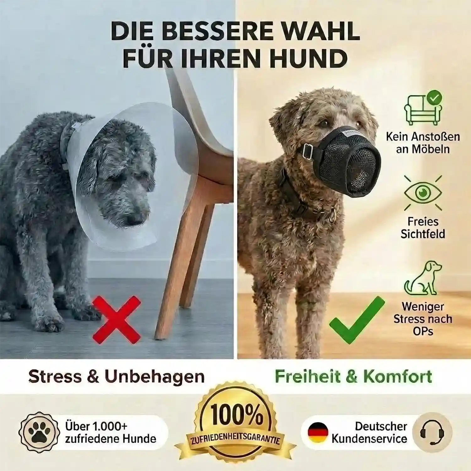 Giftköderschutz 7 Giftköderschutz für Hunde