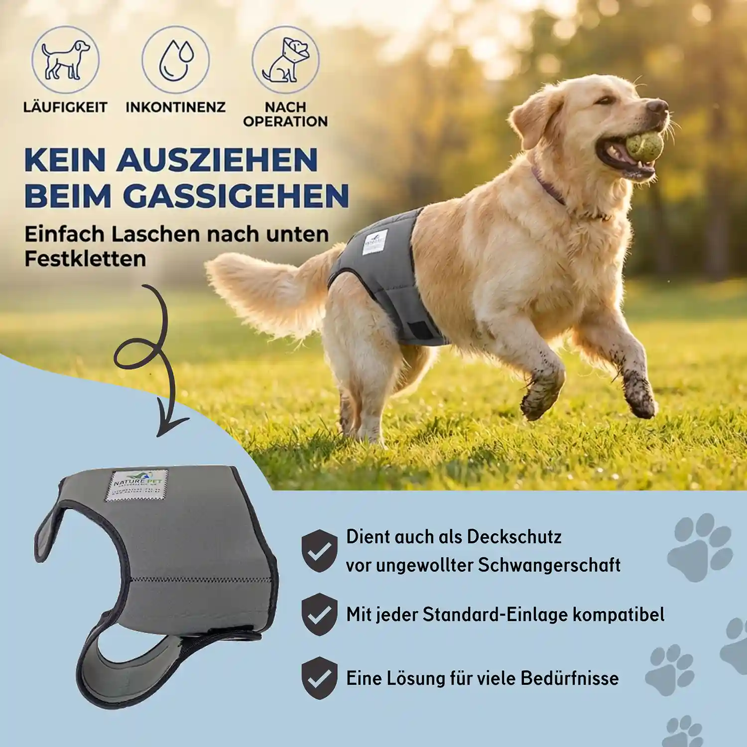 Läufigkeitshose für Hündinnen aus Neopren 5 Läufigkeitshose_USP1
