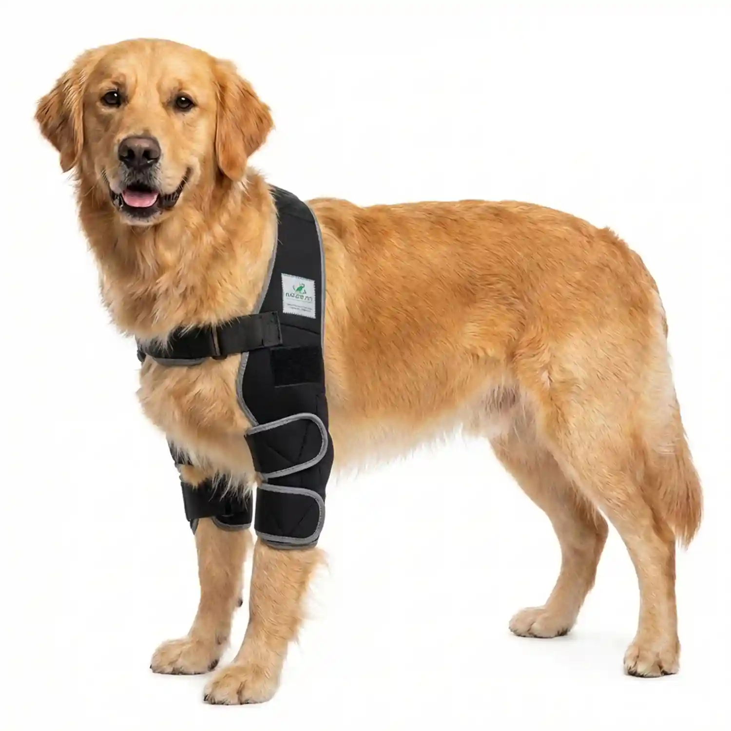 Liegeschwielen- / Ellenbogen Bandage für Hunde 19 Liegeschwielen Bandage / Ellenbogenbandage für Hunde