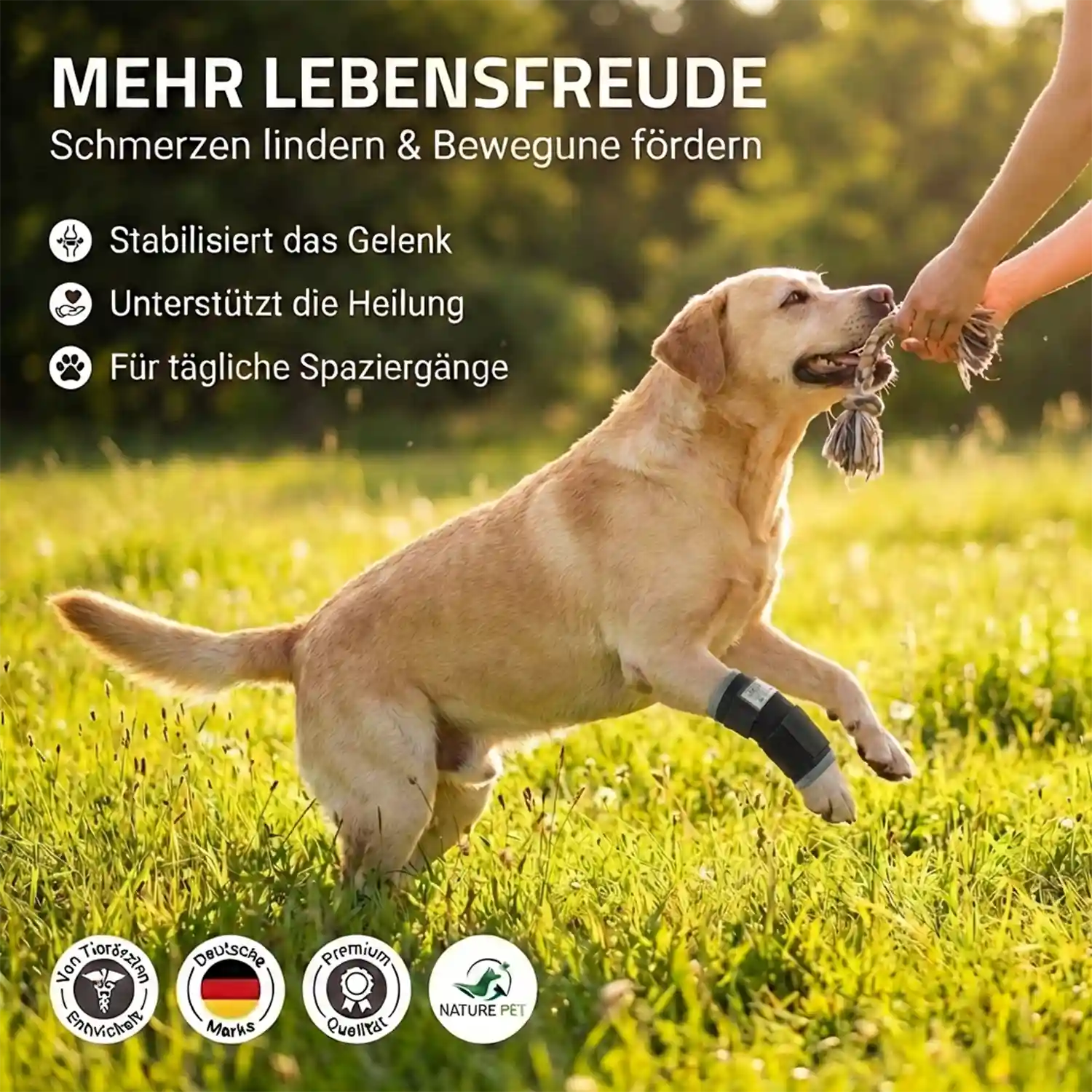 Nature Pet Premium Handgelenks Bandage 7 Premium Bandage Vorderlauf Hund