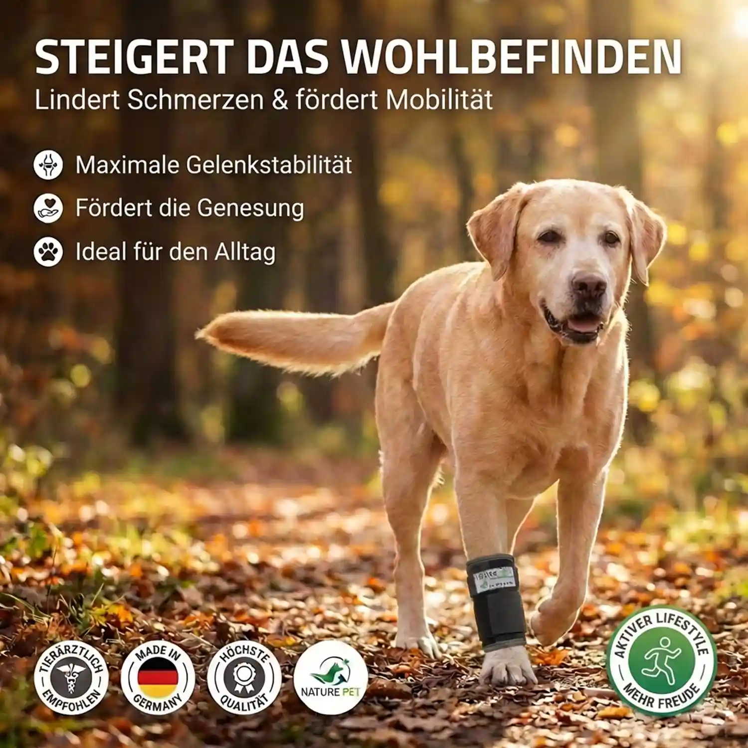 Nature Pet Premium Handgelenks Bandage 11 Premium Bandage Vorderlauf Hund