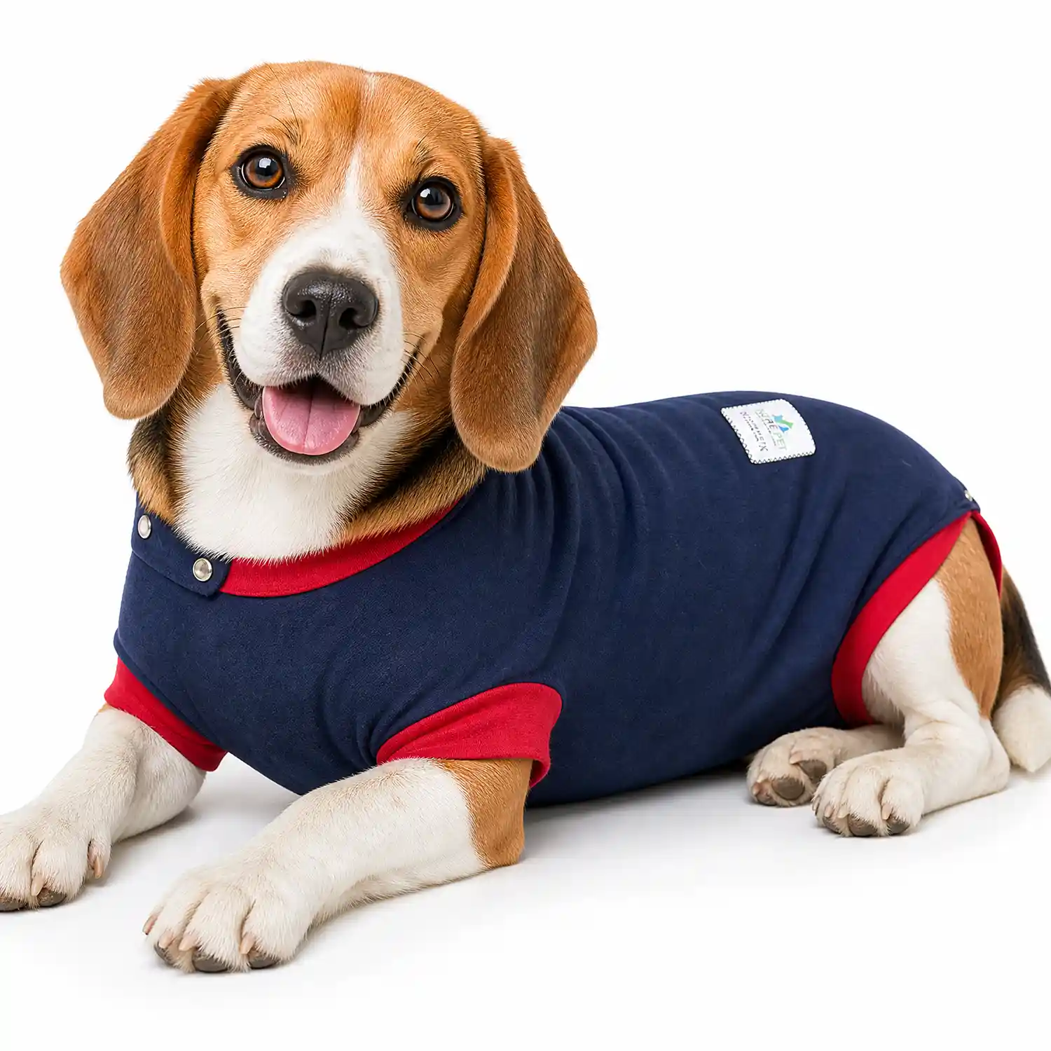 Hunde OP Body