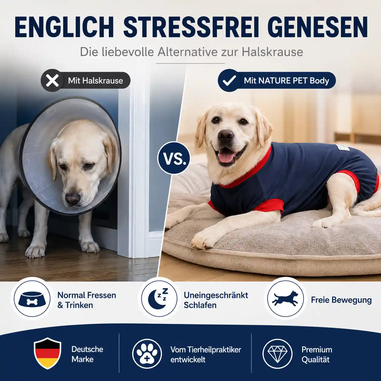 Hunde OP Body 5 Hunde OP Body